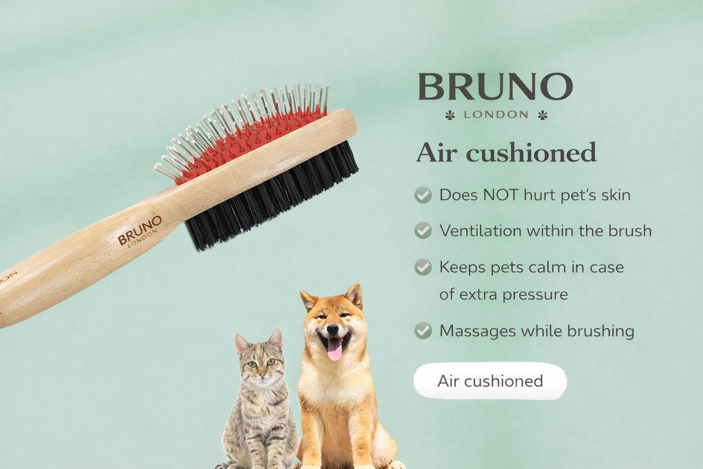 Bruno Brush