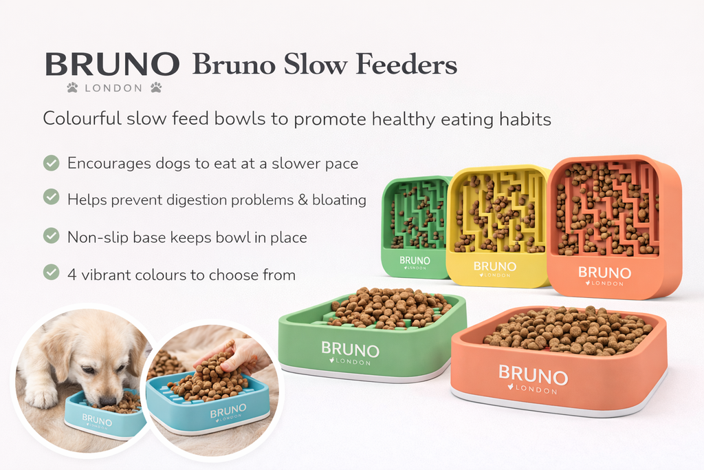 Bruno Bowl