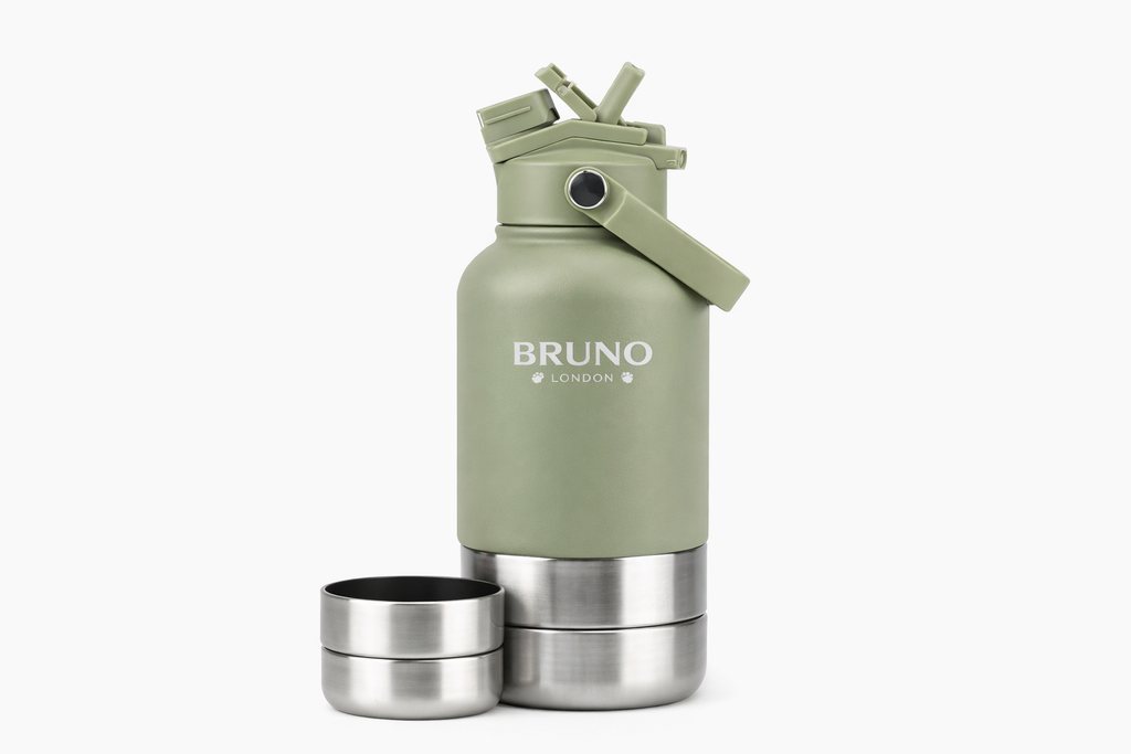 Bruno Travel