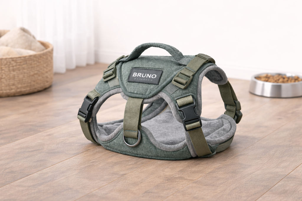 Bruno Harness