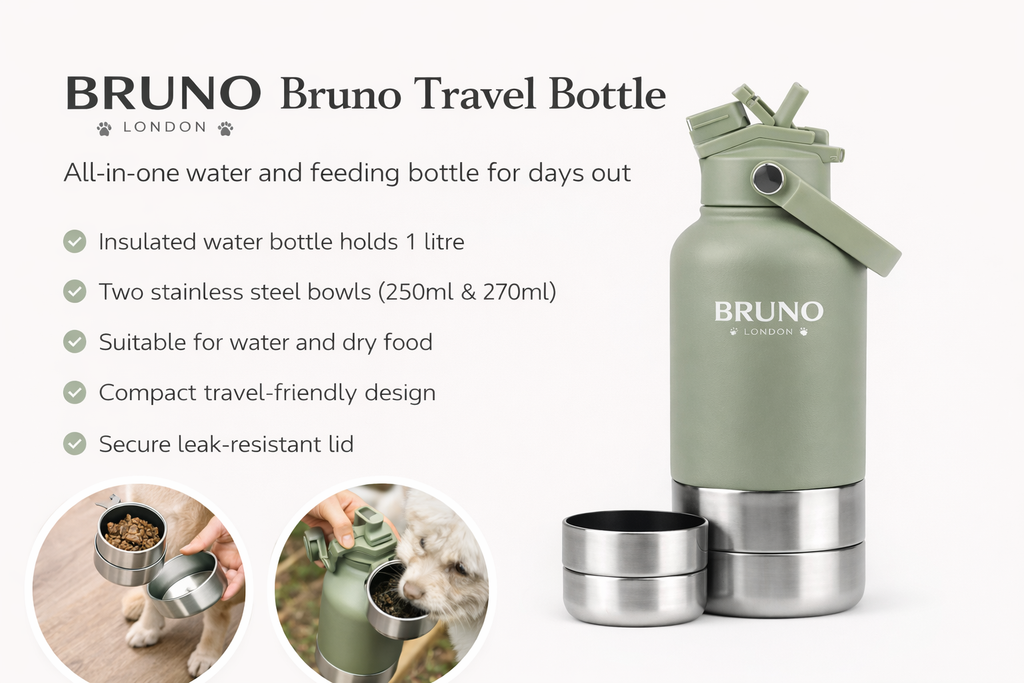 Bruno Travel